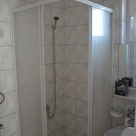 Braca Lazic 비옐리나