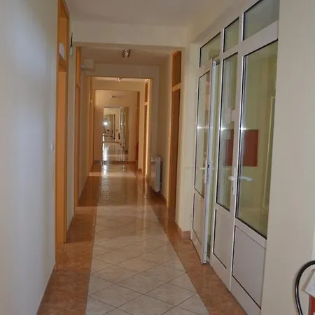 Braca Lazic 3*