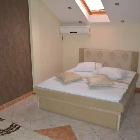 Braca Lazic Motel 3*