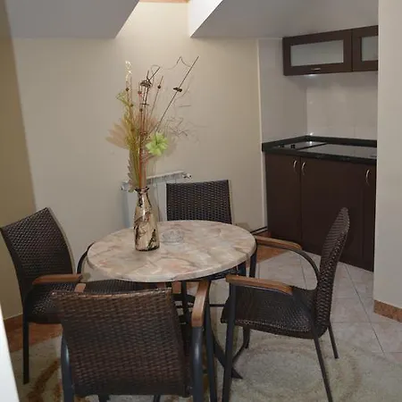 모텔 Braca Lazic 3*