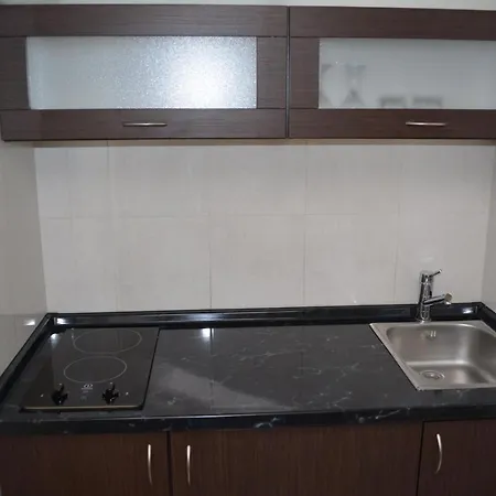 모텔 Braca Lazic 3*